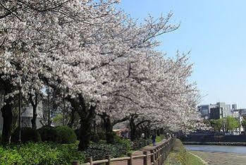Hotel Tokyu Rei